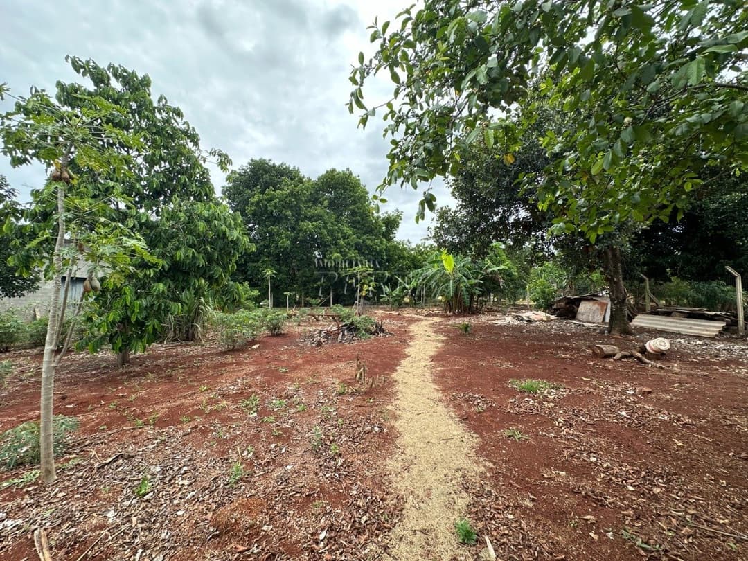 Imóveis Rurais no Condomínio De Chácaras Itaúna, de 3 quartos, 250 m² à venda no Itauna - Ibiporã/PR - Foto 32