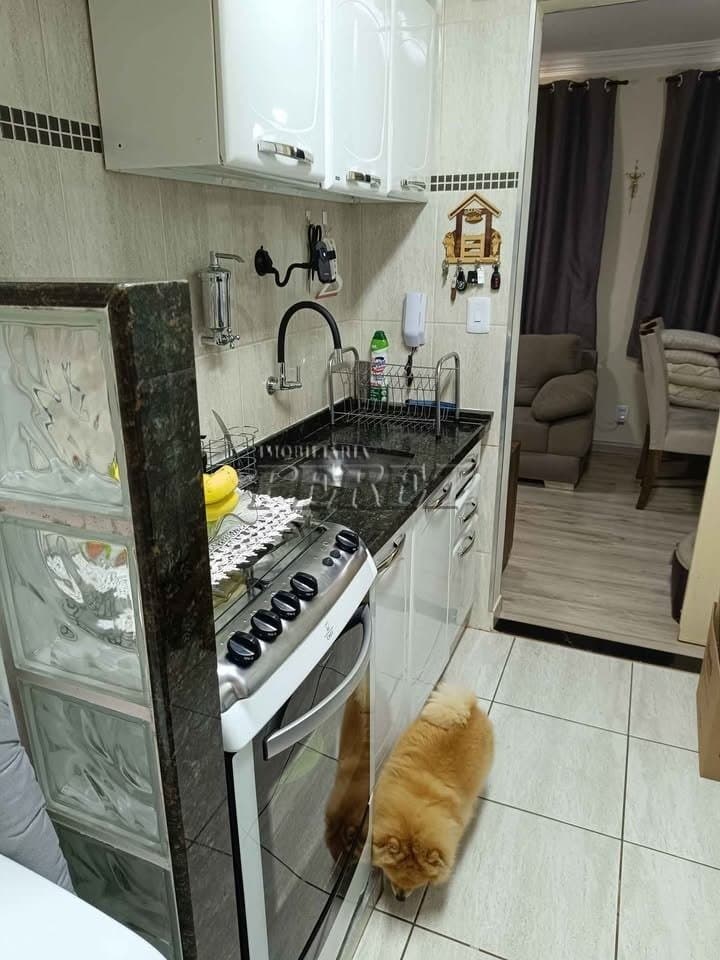 Apartamento no Condominio Jamaica 2, de 2 quartos, 60 m² para alugar no Parque Jamaica - Londrina/PR - Foto 12