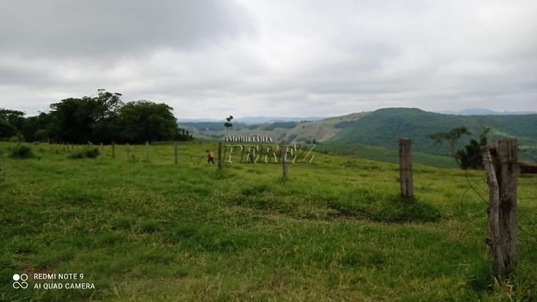 Imóveis Rurais no Fazenda Muquilao à venda no Patrimônio Bela Vista - Londrina/PR - Foto 1