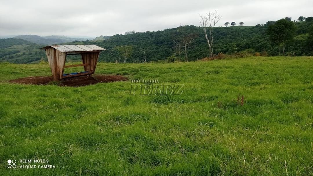 Imóveis Rurais no Fazenda Muquilao à venda no Patrimônio Bela Vista - Londrina/PR - Foto 2