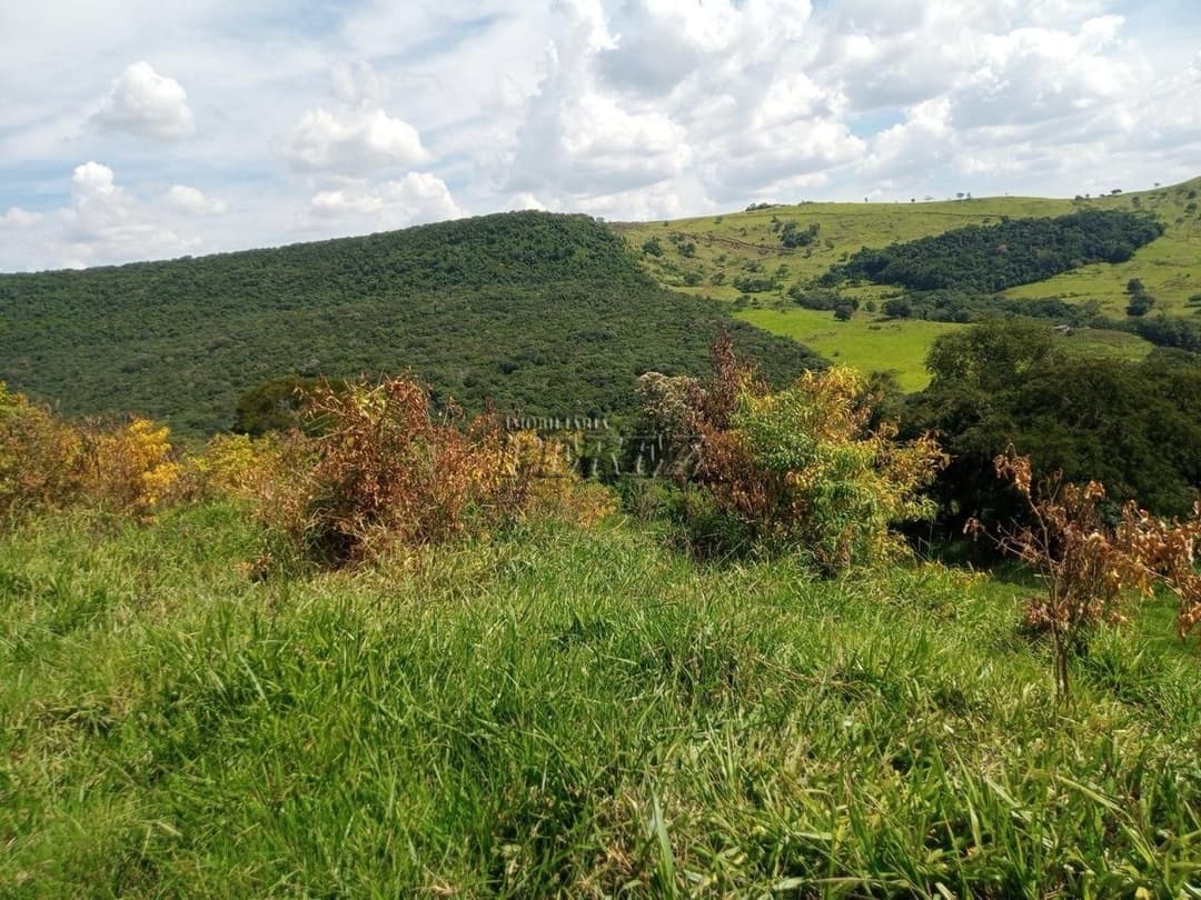 Imóveis Rurais no Fazenda Muquilao à venda no Patrimônio Bela Vista - Londrina/PR - Foto 3