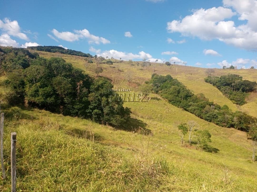 Imóveis Rurais no Fazenda Muquilao à venda no Patrimônio Bela Vista - Londrina/PR - Foto 7