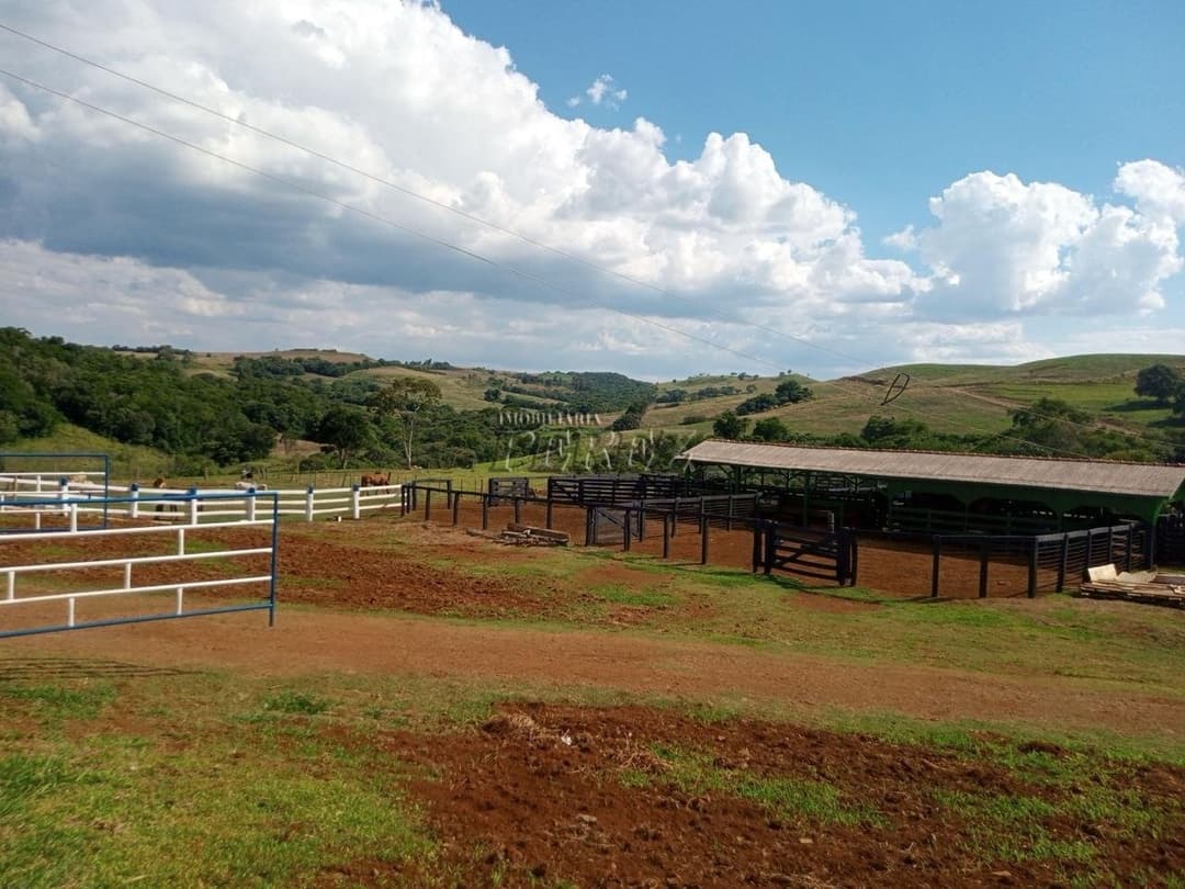 Imóveis Rurais no Fazenda Muquilao à venda no Patrimônio Bela Vista - Londrina/PR - Foto 8
