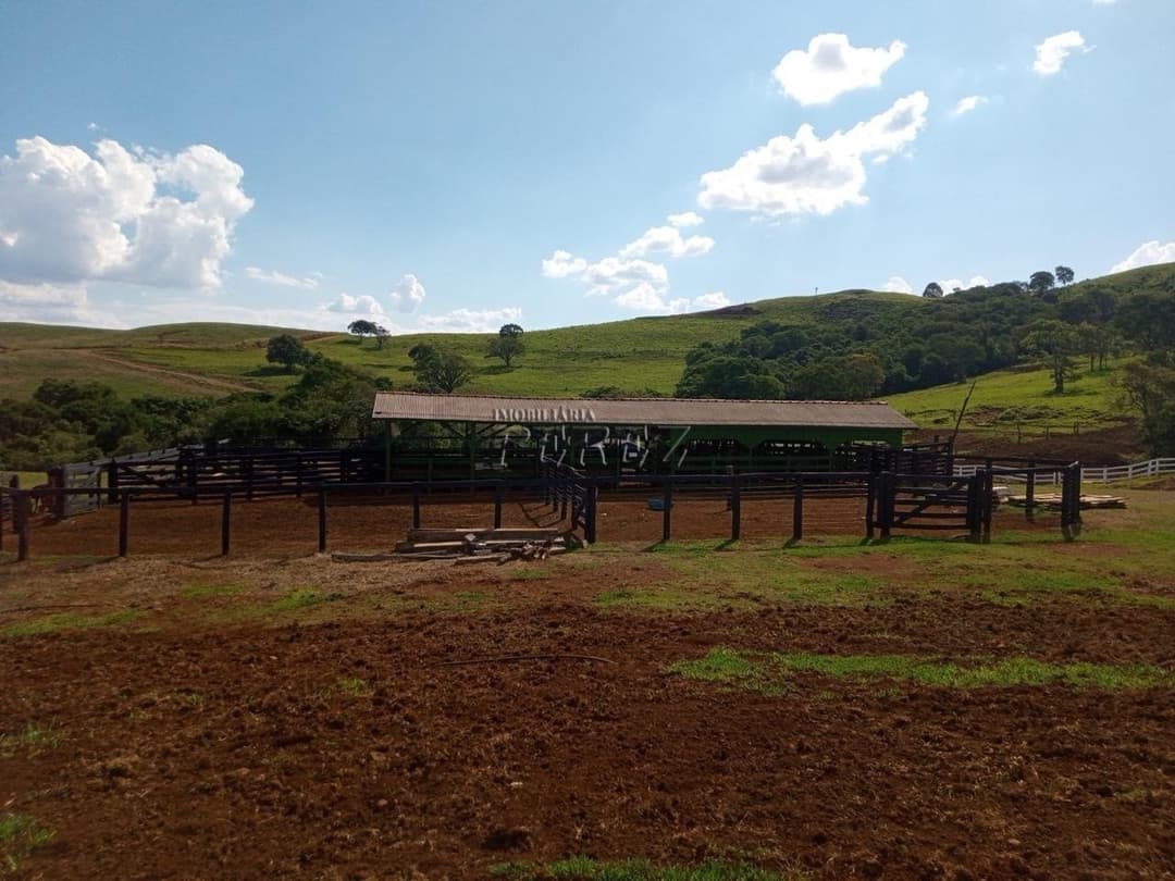 Imóveis Rurais no Fazenda Muquilao à venda no Patrimônio Bela Vista - Londrina/PR - Foto 9