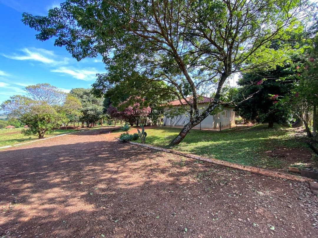 Chácara à Venda - Estrada Leão de Judá, Fazenda Nata - Londrina/PR - Foto 3