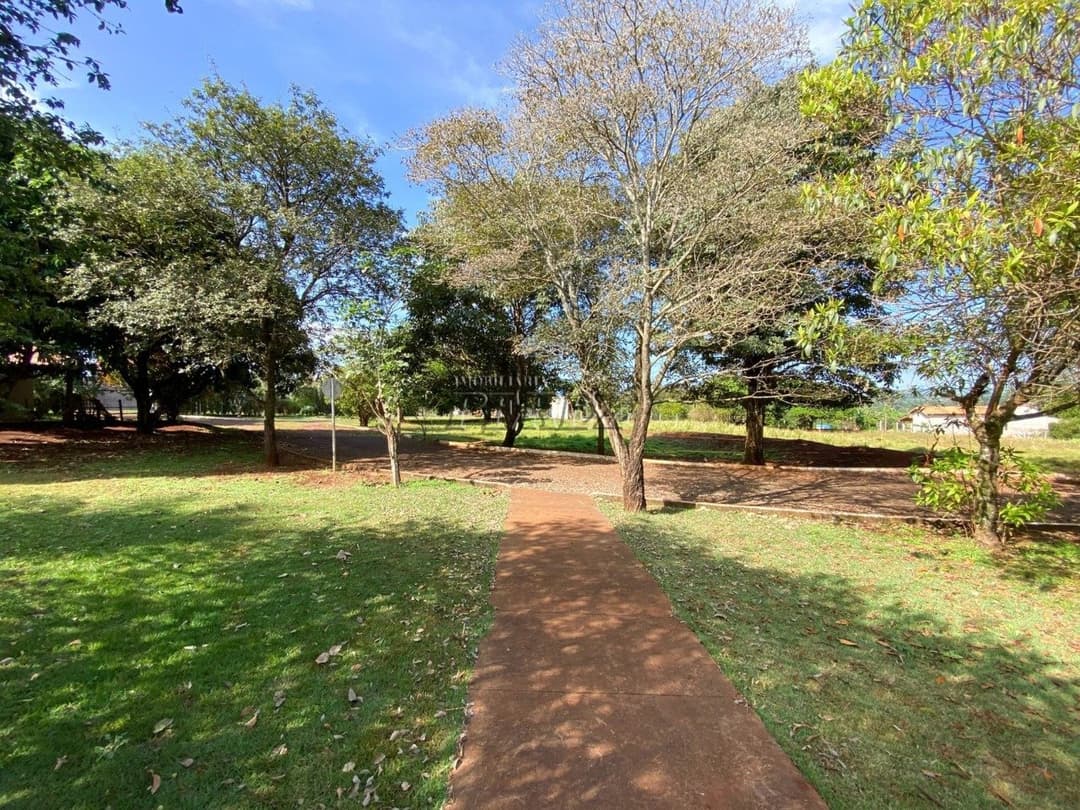 Chácara à Venda - Estrada Leão de Judá, Fazenda Nata - Londrina/PR - Foto 5