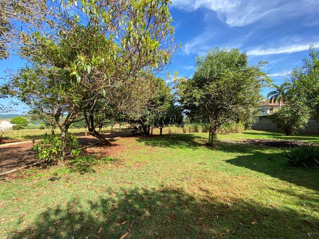 Chácara à Venda - Estrada Leão de Judá, Fazenda Nata - Londrina/PR - Foto 7