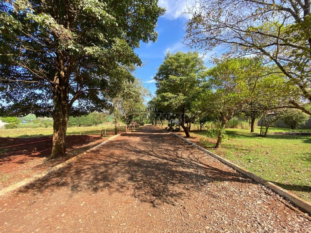 Chácara à Venda - Estrada Leão de Judá, Fazenda Nata - Londrina/PR - Foto 52