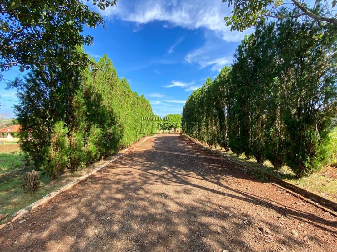 Chácara à Venda - Estrada Leão de Judá, Fazenda Nata - Londrina/PR - Foto 20