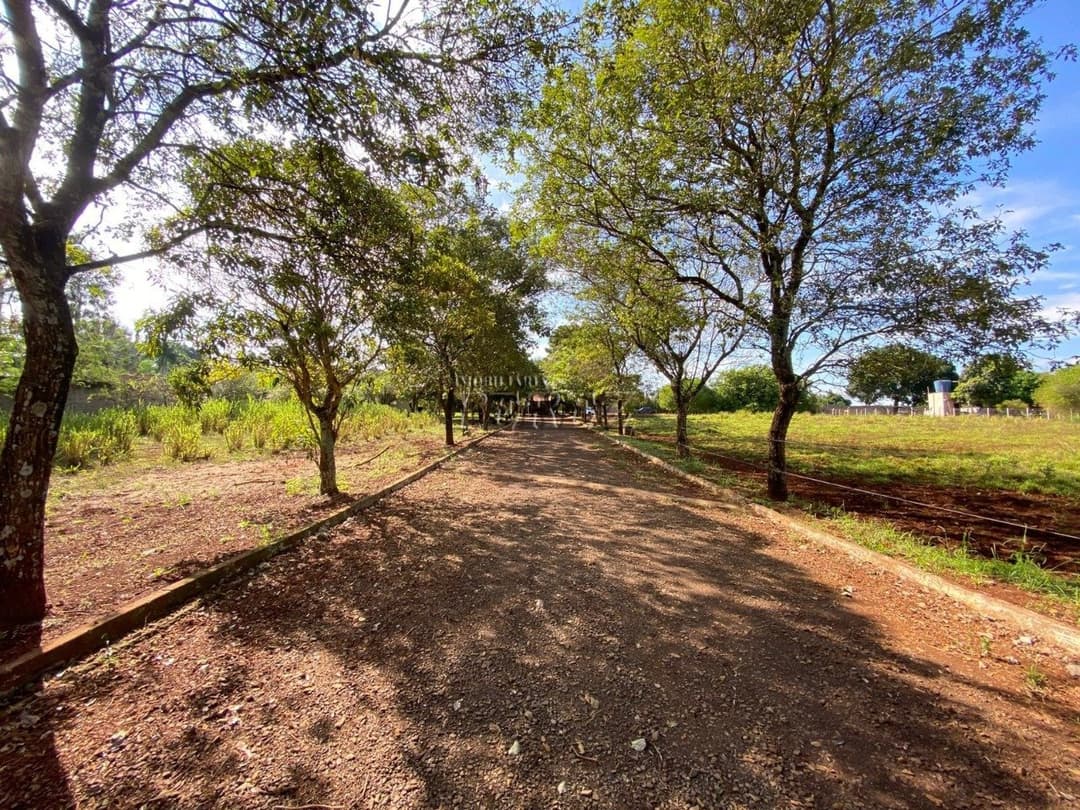 Chácara à Venda - Estrada Leão de Judá, Fazenda Nata - Londrina/PR - Foto 13