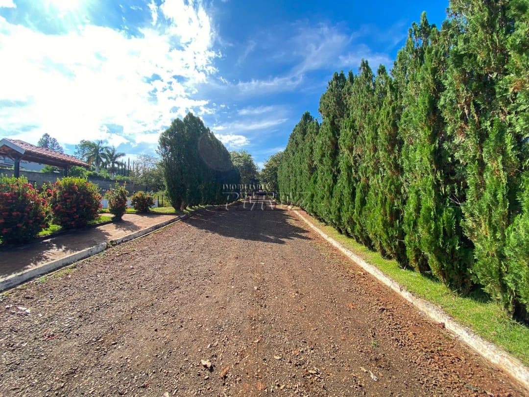 Chácara à Venda - Estrada Leão de Judá, Fazenda Nata - Londrina/PR - Foto 21