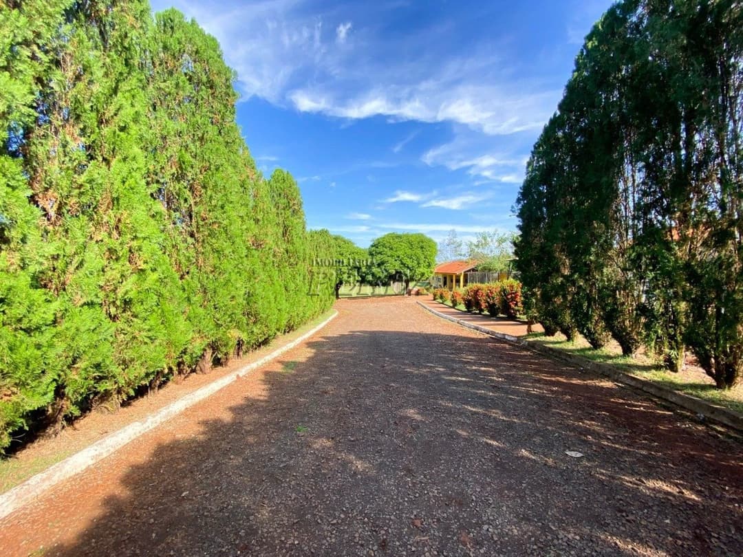 Chácara à Venda - Estrada Leão de Judá, Fazenda Nata - Londrina/PR - Foto 14
