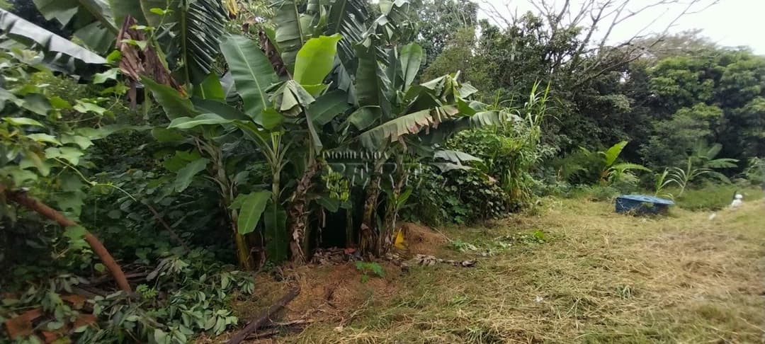 Imóveis Rurais, de 2 quartos à venda no Chácaras Ponte Seca - Londrina/PR - Foto 19
