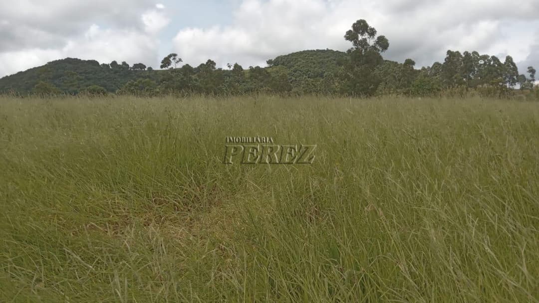 Imóveis Rurais no Sitio Tamarana, de 3 quartos à venda no Tamarana - Tamarana/PR - Foto 8