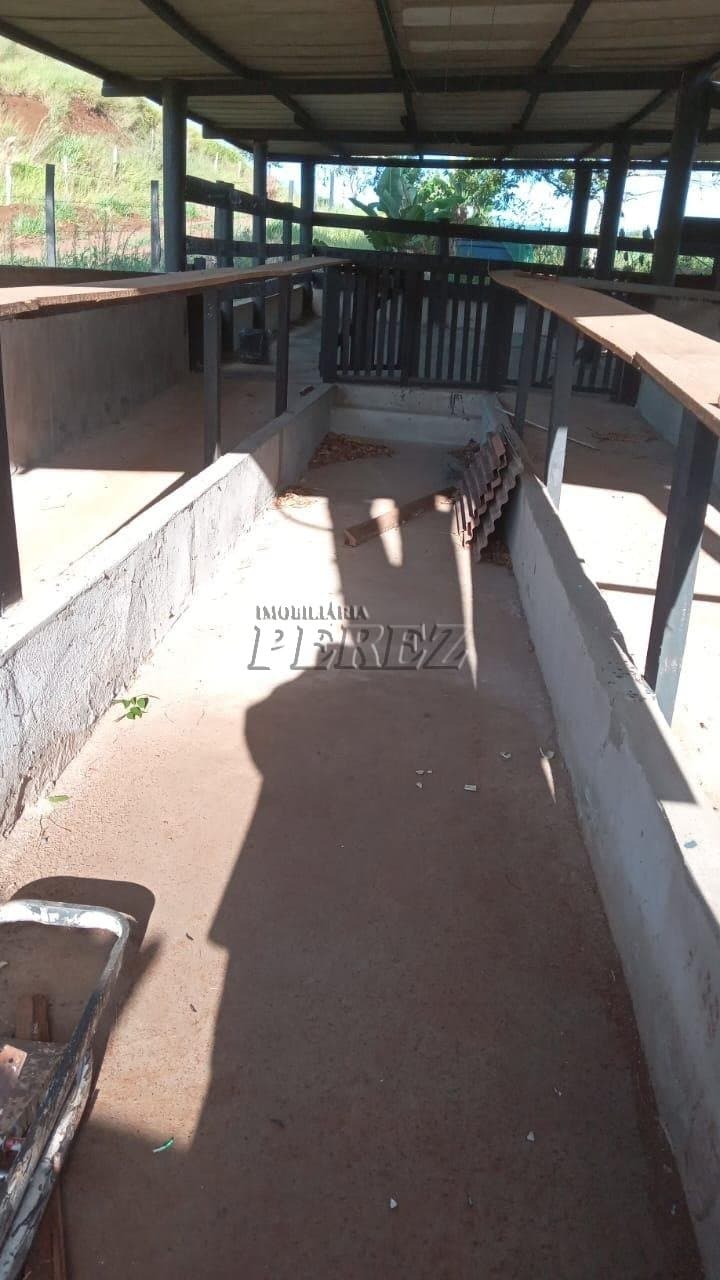 Imóveis Rurais no Sitio Tamarana, de 3 quartos à venda no Tamarana - Tamarana/PR - Foto 5