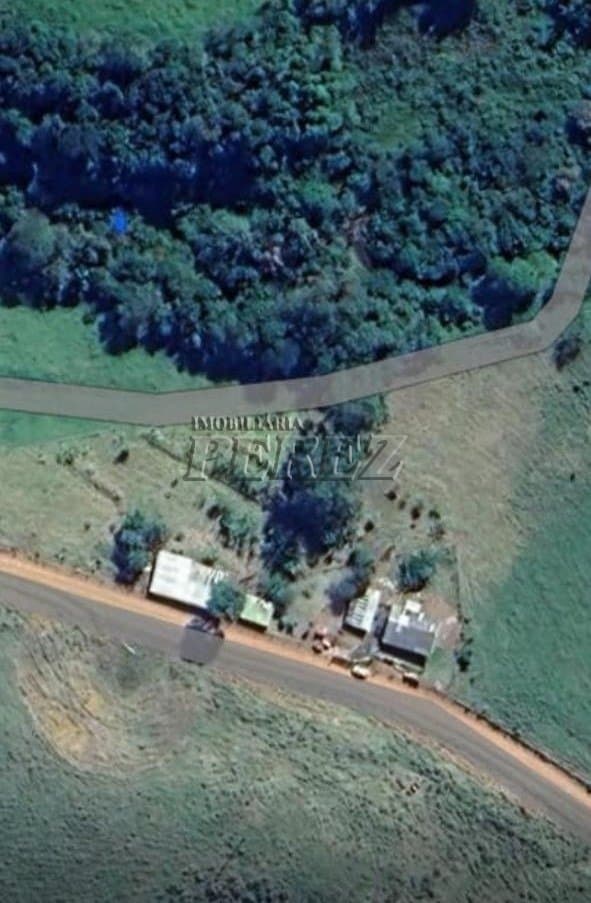 Imóveis Rurais no Sitio Tamarana, de 3 quartos à venda no Tamarana - Tamarana/PR - Foto 9