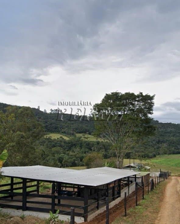 Imóveis Rurais no Sitio Tamarana, de 3 quartos à venda no Tamarana - Tamarana/PR - Foto 6