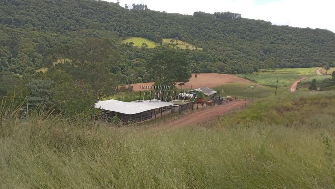 Imóveis Rurais no Sitio Tamarana, de 3 quartos à venda no Tamarana - Tamarana/PR - Foto 0
