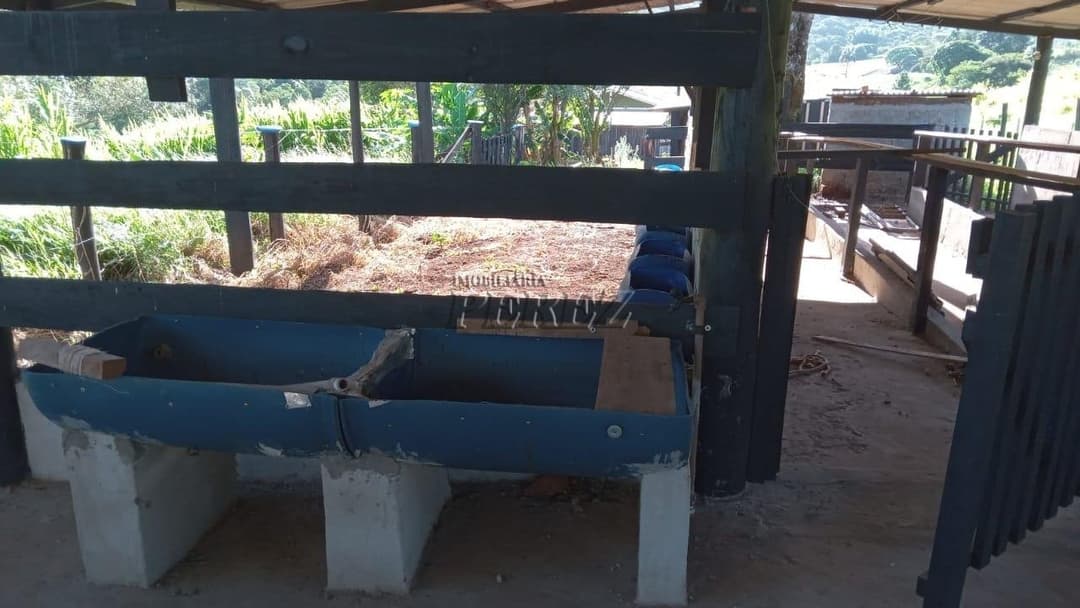 Imóveis Rurais no Sitio Tamarana, de 3 quartos à venda no Tamarana - Tamarana/PR - Foto 4