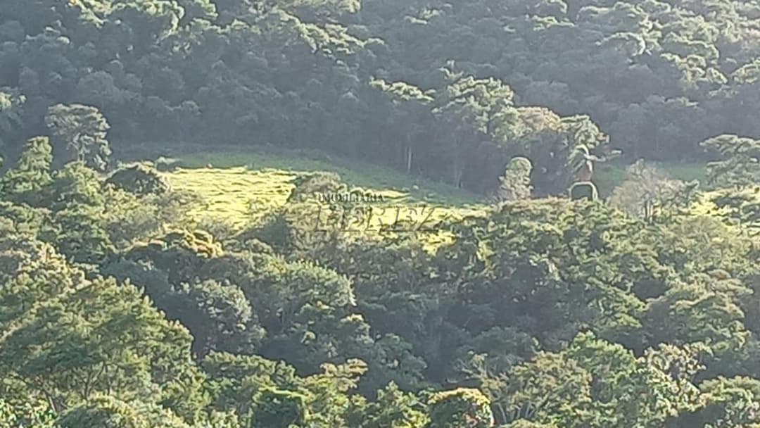 Imóveis Rurais no Sitio Tamarana, de 3 quartos à venda no Tamarana - Tamarana/PR - Foto 7