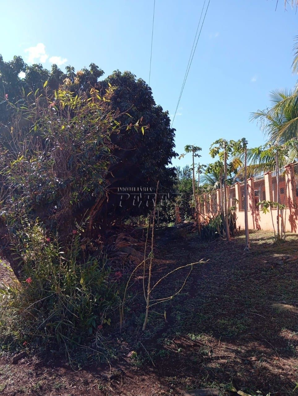 Imóveis Rurais, de 3 quartos à venda no Usina Três Bocas - Londrina/PR - Foto 52