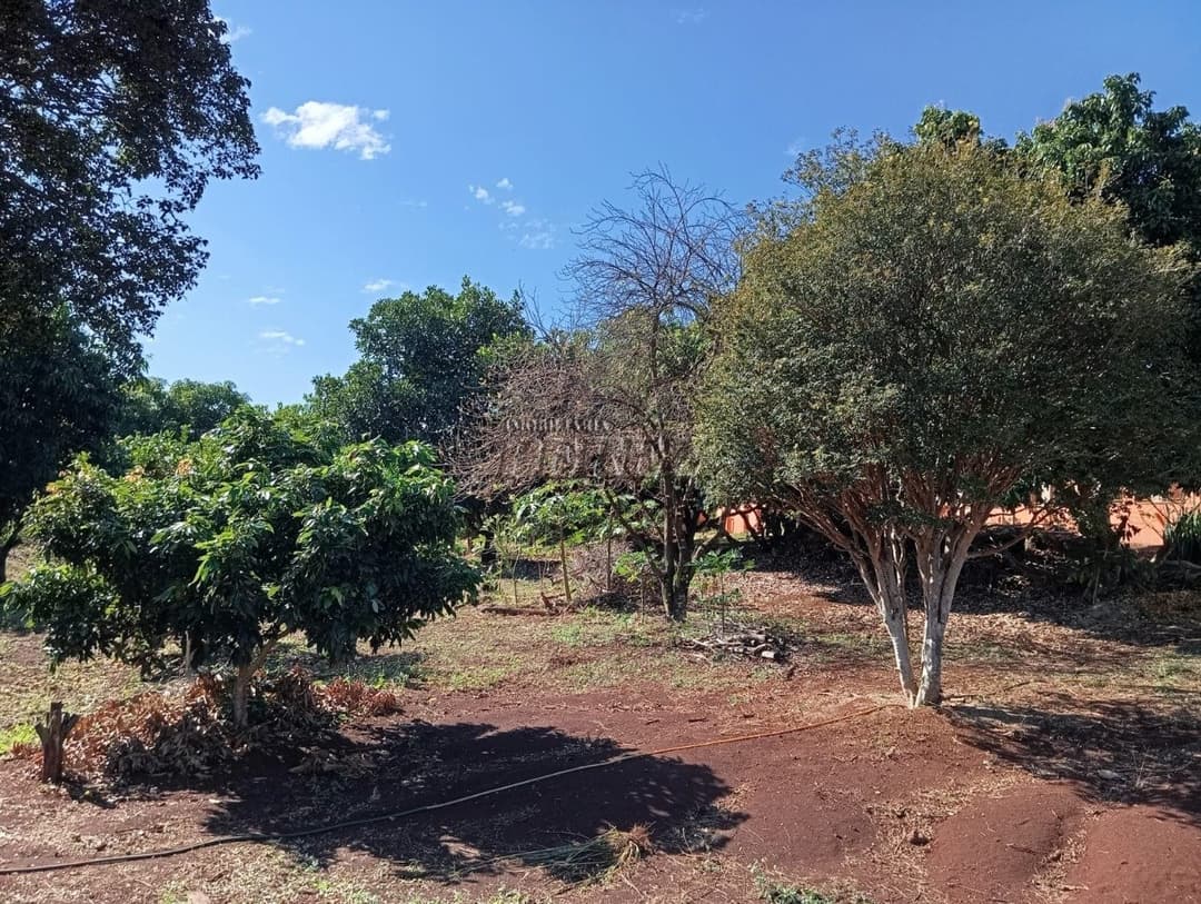 Imóveis Rurais, de 3 quartos à venda no Usina Três Bocas - Londrina/PR - Foto 53