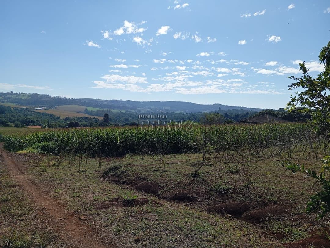Imóveis Rurais, de 3 quartos à venda no Usina Três Bocas - Londrina/PR - Foto 44