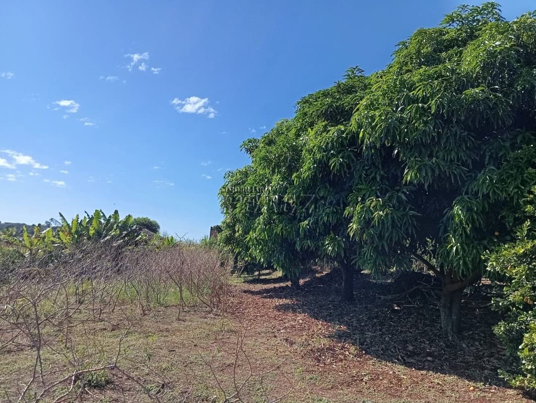 Imóveis Rurais, de 3 quartos à venda no Usina Três Bocas - Londrina/PR - Foto 47