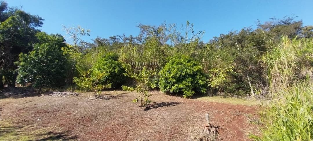 Imóveis Rurais, de 3 quartos à venda no Usina Três Bocas - Londrina/PR - Foto 54