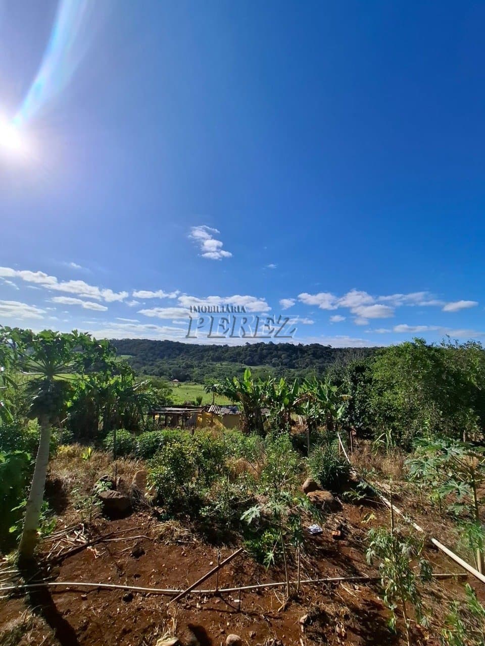 Chácara com 40.000m² e Casa Ampla - Tranquilidade e Conforto em Meio à Natureza - Foto 3