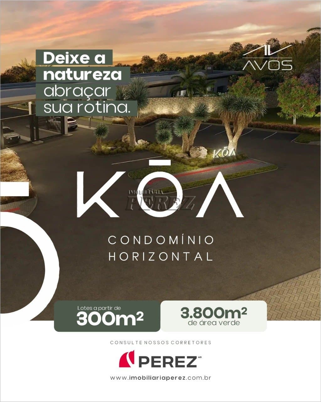 Terrenos no Koa à venda no Esperança - Londrina/PR - Foto 0