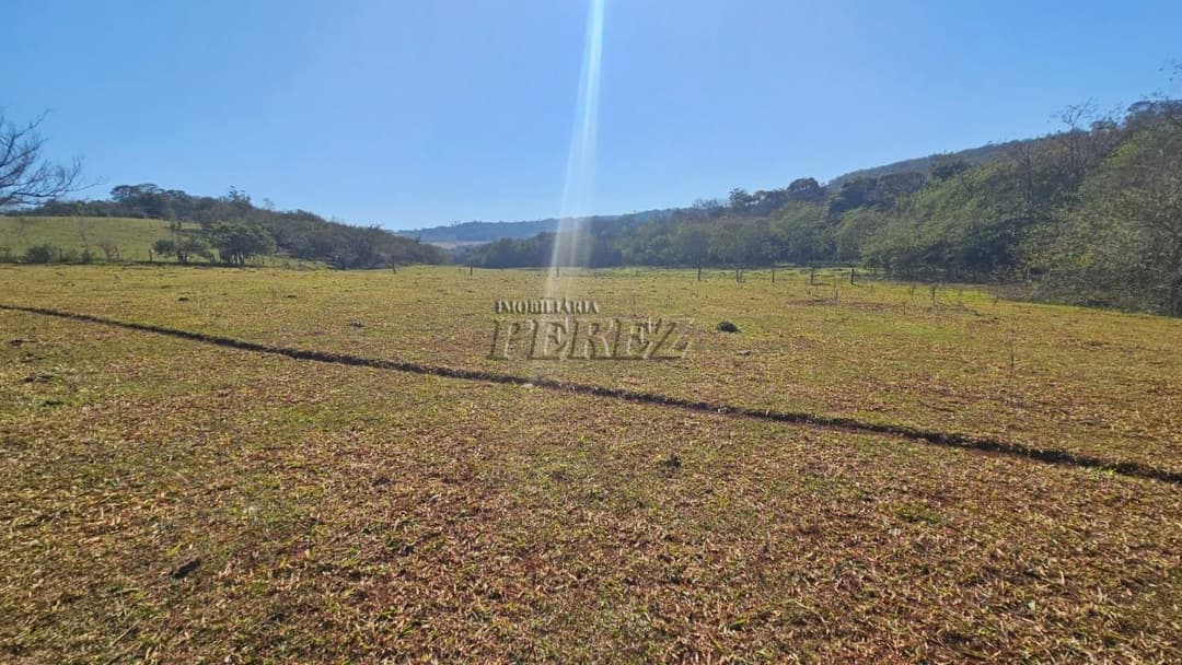 Imóveis Rurais à venda no Gleba Cafezal - Ibiporã/PR - Foto 14