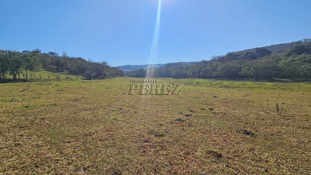 Imóveis Rurais à venda no Gleba Cafezal - Ibiporã/PR - Foto 15