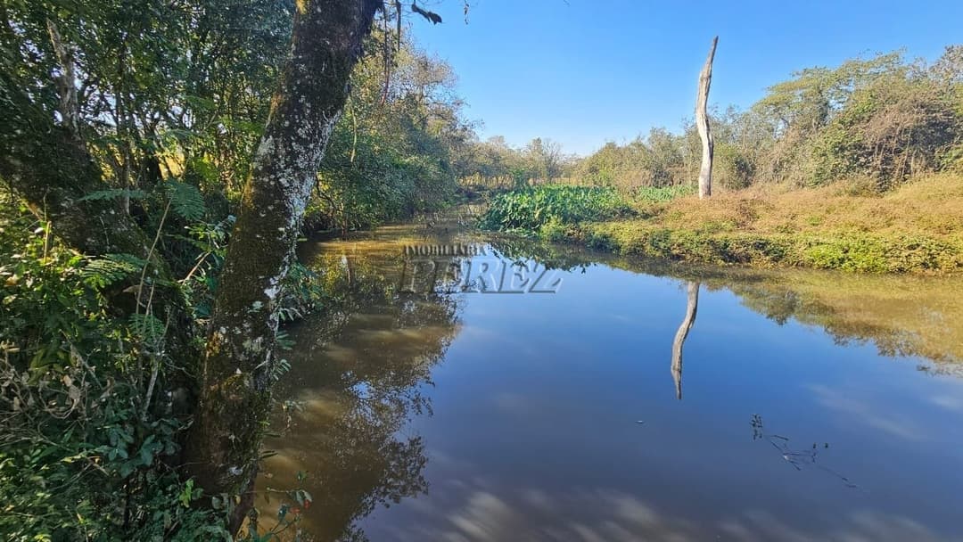 Imóveis Rurais à venda no Gleba Cafezal - Ibiporã/PR - Foto 18