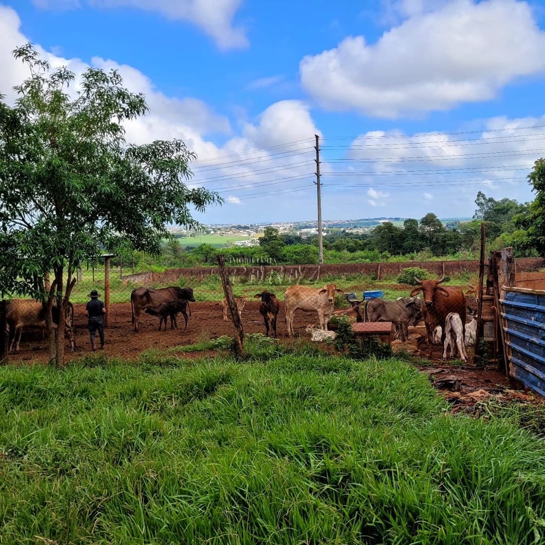 Chácara Rural Urbana à venda na Av das Laranjeiras na região leste de Londrina - Foto 8