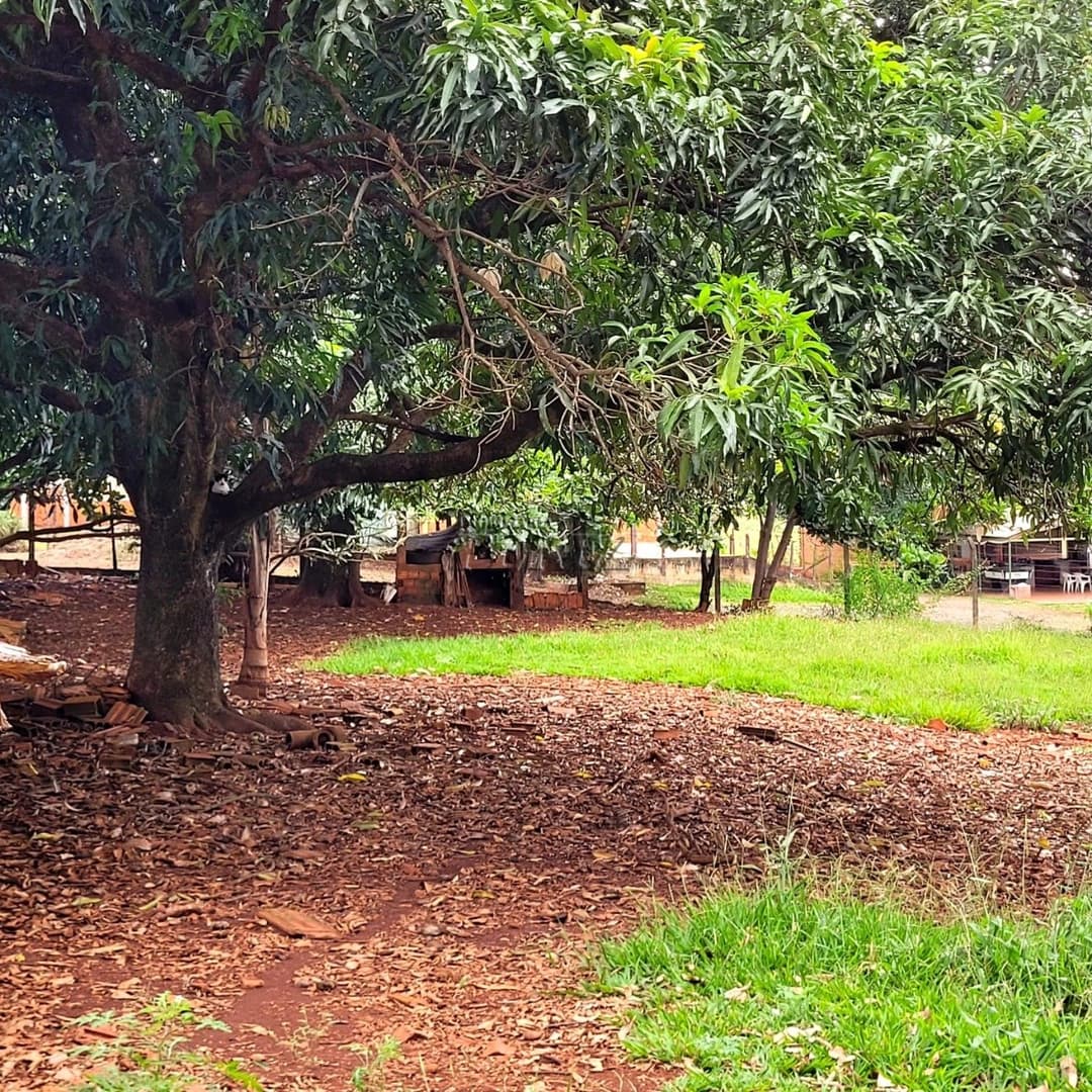 Chácara Rural Urbana à venda na Av das Laranjeiras na região leste de Londrina - Foto 10