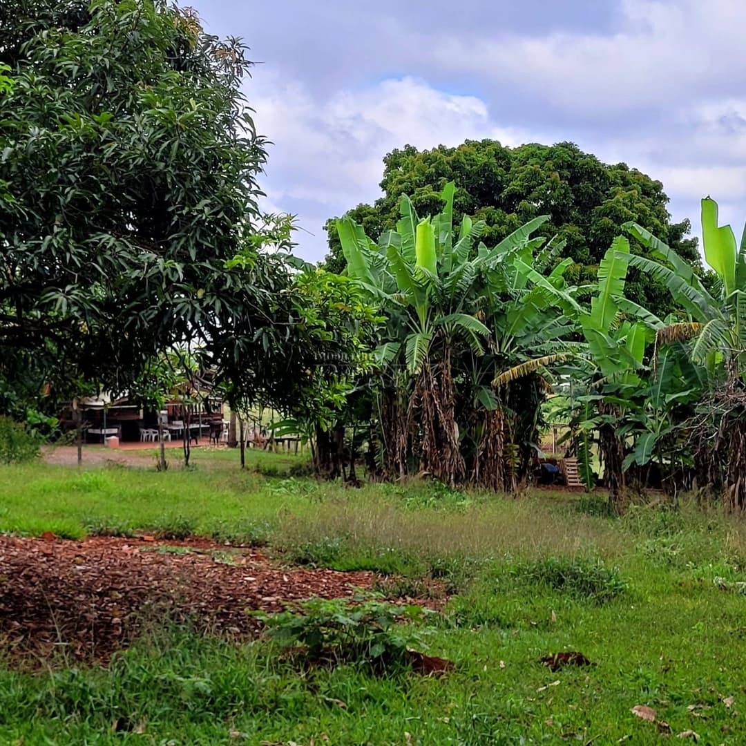 Chácara Rural Urbana à venda na Av das Laranjeiras na região leste de Londrina - Foto 11