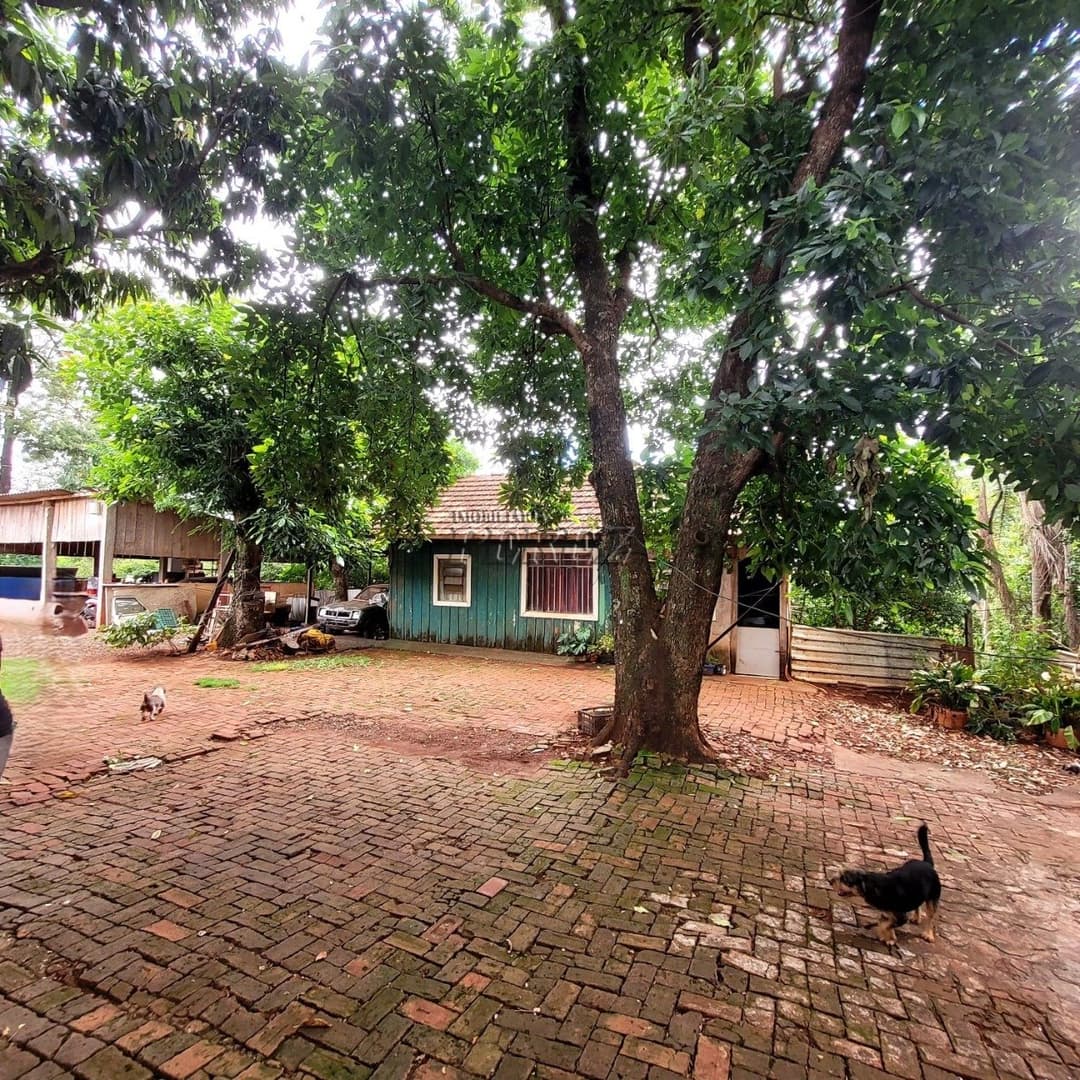 Chácara Rural Urbana à venda na Av das Laranjeiras na região leste de Londrina - Foto 6