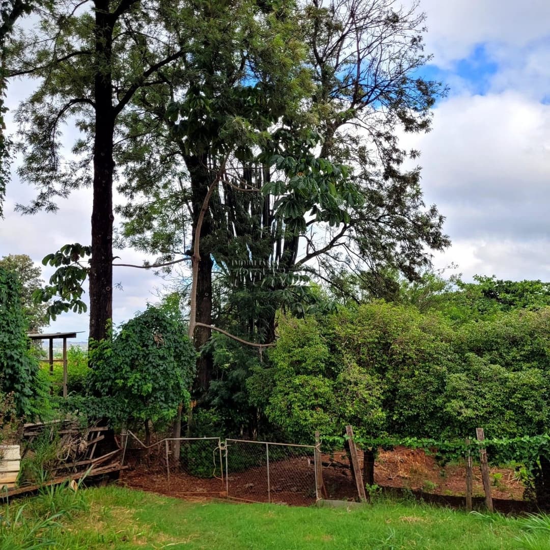 Chácara Rural Urbana à venda na Av das Laranjeiras na região leste de Londrina - Foto 14