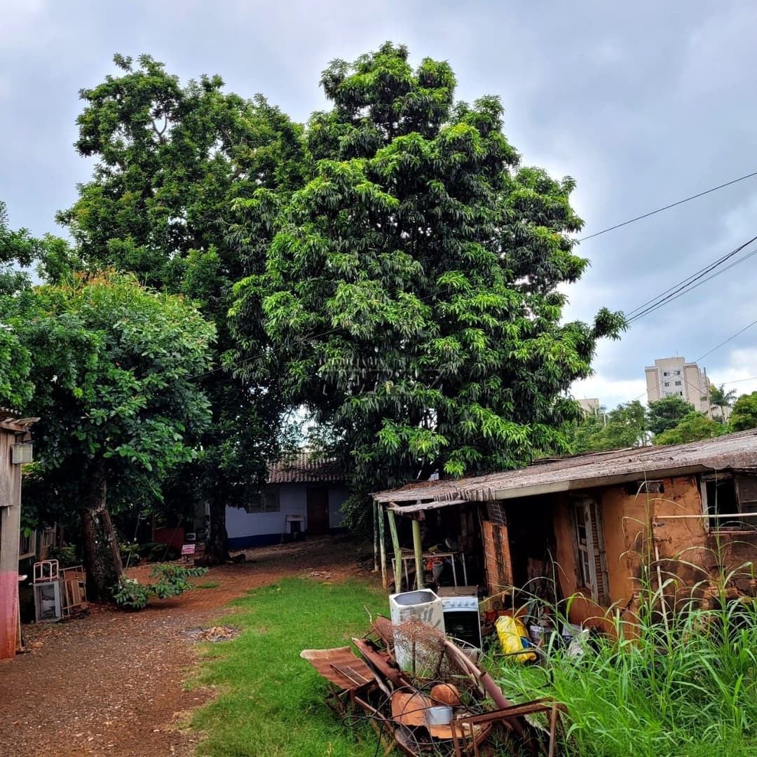 Chácara Rural Urbana à venda na Av das Laranjeiras na região leste de Londrina - Foto 2