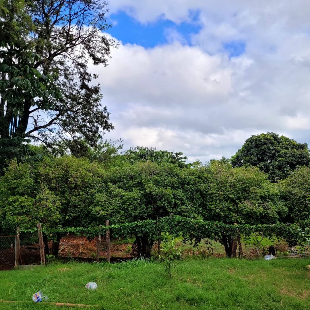 Chácara Rural Urbana à venda na Av das Laranjeiras na região leste de Londrina - Foto 15