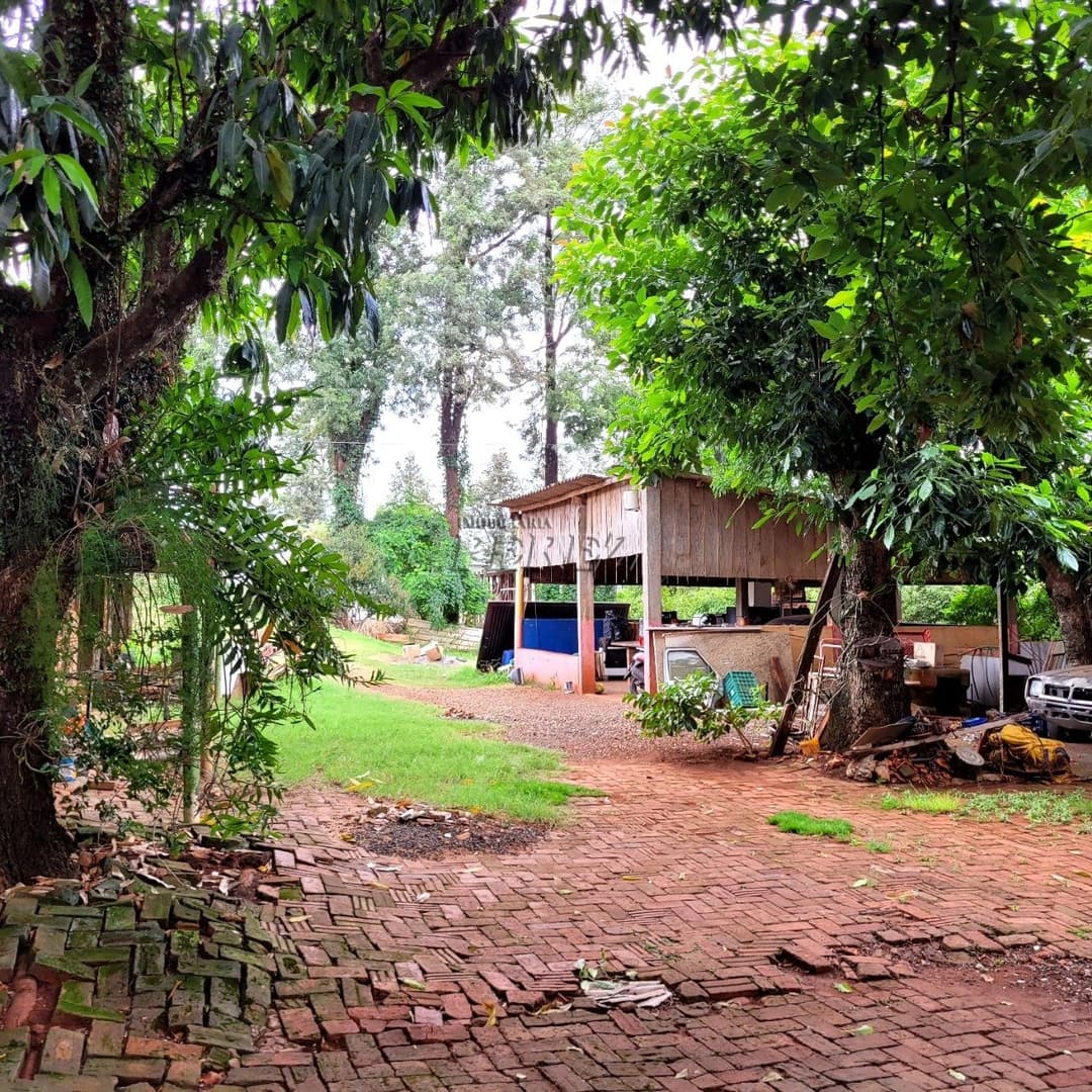 Chácara Rural Urbana à venda na Av das Laranjeiras na região leste de Londrina - Foto 3