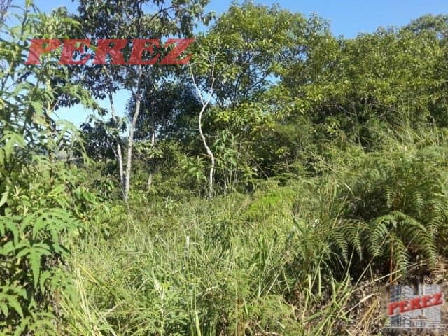 Imóveis Rurais, de 1 quarto, 1306800 m² à venda no Rural - Ortigueira/PR - Foto 18