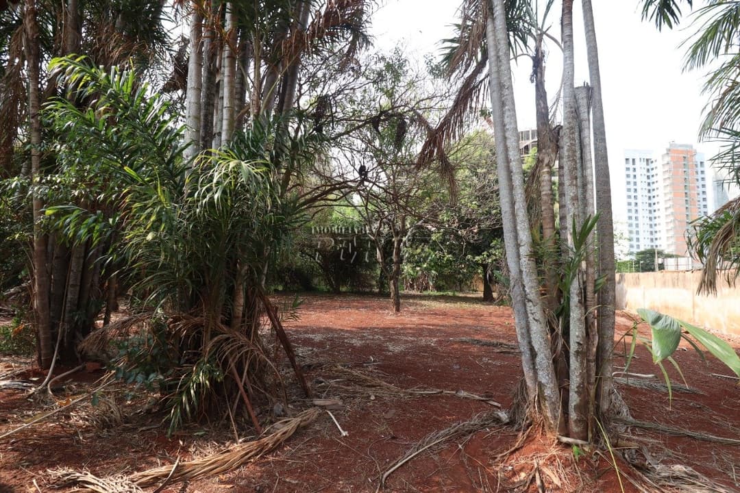 Casa, de 1 quarto para alugar no Colonial - Londrina/PR - Foto 15