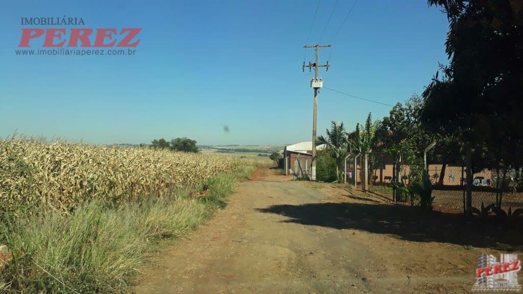 Imóveis Rurais, de 1 quarto, 121000 m² à venda no Rural - Cambe/PR - Foto 1