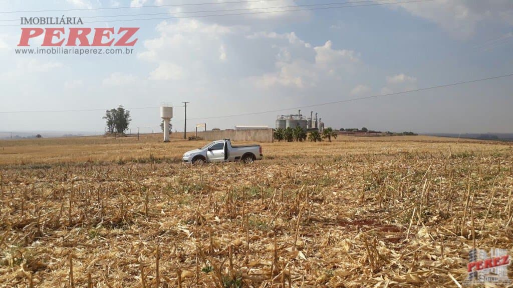 Imóveis Rurais, de 1 quarto, 121000 m² à venda no Rural - Cambe/PR - Foto 31
