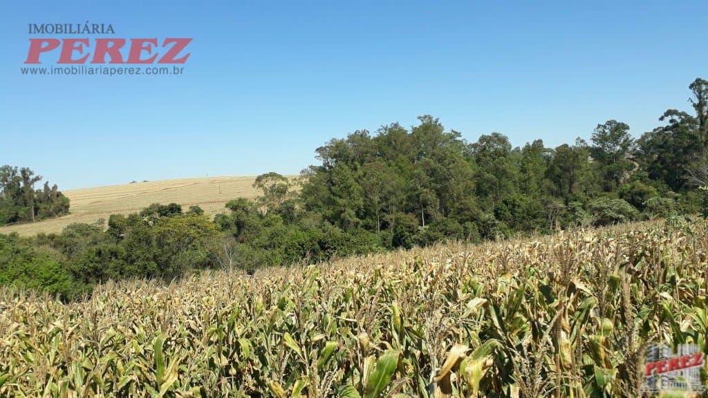 Imóveis Rurais, de 1 quarto, 121000 m² à venda no Rural - Cambe/PR - Foto 6