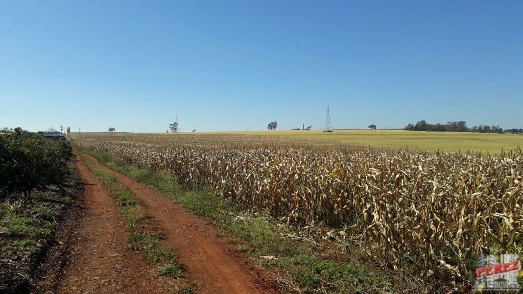 Imóveis Rurais, de 1 quarto, 121000 m² à venda no Rural - Cambe/PR - Foto 15