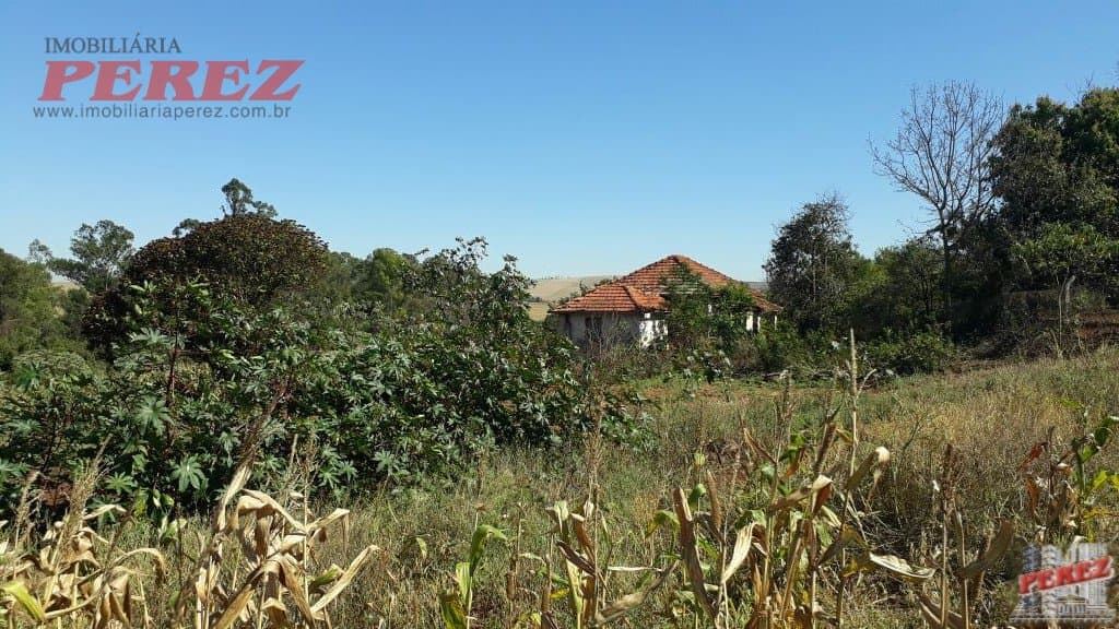 Imóveis Rurais, de 1 quarto, 121000 m² à venda no Rural - Cambe/PR - Foto 16