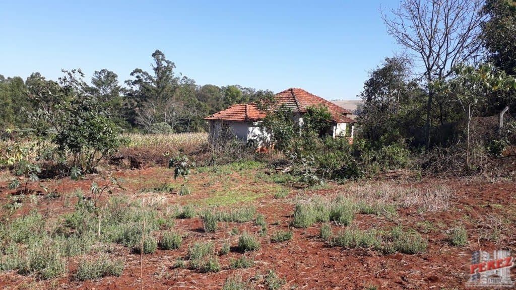 Imóveis Rurais, de 1 quarto, 121000 m² à venda no Rural - Cambe/PR - Foto 9